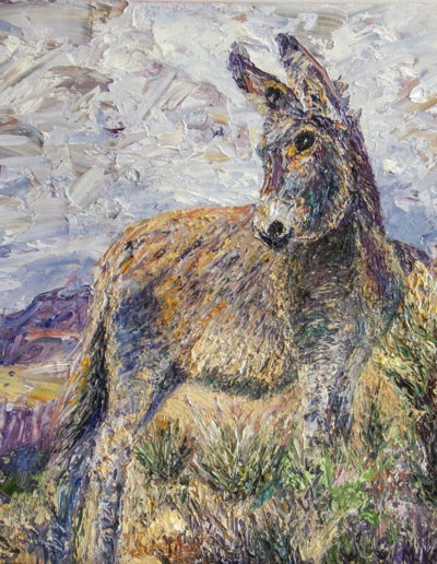 Oil painting of a young wild burro in the desert near Pahrump, Nevada, by Maureen Kirk