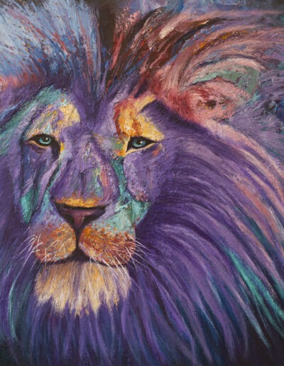 Oil painting of an African Lion in purple, turquoise, black, red, pink and orange, by Maureen Kirk. 24" x 24" canvas