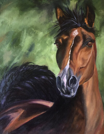 Oil painting of an Arabian horse 20" x 20"